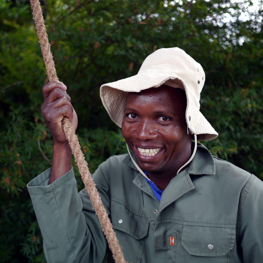Holding a branch securely
